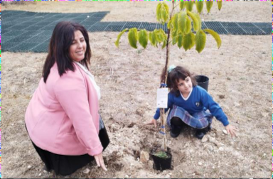 Salamanca planta un huerto en la Residencia Coco